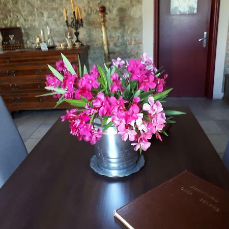 Casa Selene Rocchi Villa Savignano sul Panaro Екстериор снимка