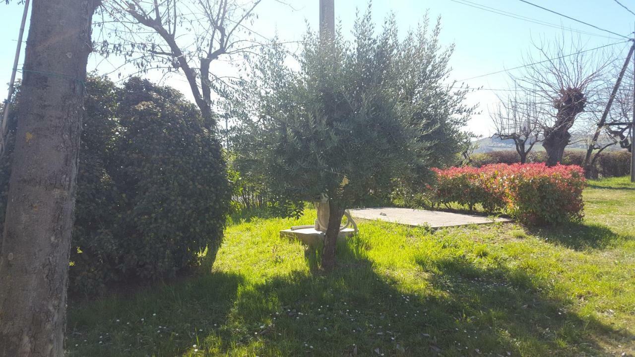 Casa Selene Rocchi Villa Savignano sul Panaro Екстериор снимка